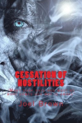 Diana Smith, Joel P. Brown - Cessation of Hostilities: Many dark days and most of what comes her way is smoke, Häftad. Tillgänglighet: Lägg i varukorg