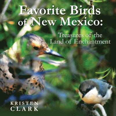 Kristen Clark - Favorite Birds of New Mexico: Treasures of the Land of Enchantment, Häftad. Tillgänglighet: Lägg i varukorg