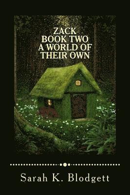 Noah Text, Sarah K. Blodgett - Zack Book Two, A World of Their Own: Noah Text (Rimes + Long Vowels), Häftad. Tillgänglighet: Lägg i varukorg