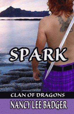 Nancy Lee Badger - Spark, Häftad. Tillgänglighet: Lägg i varukorg