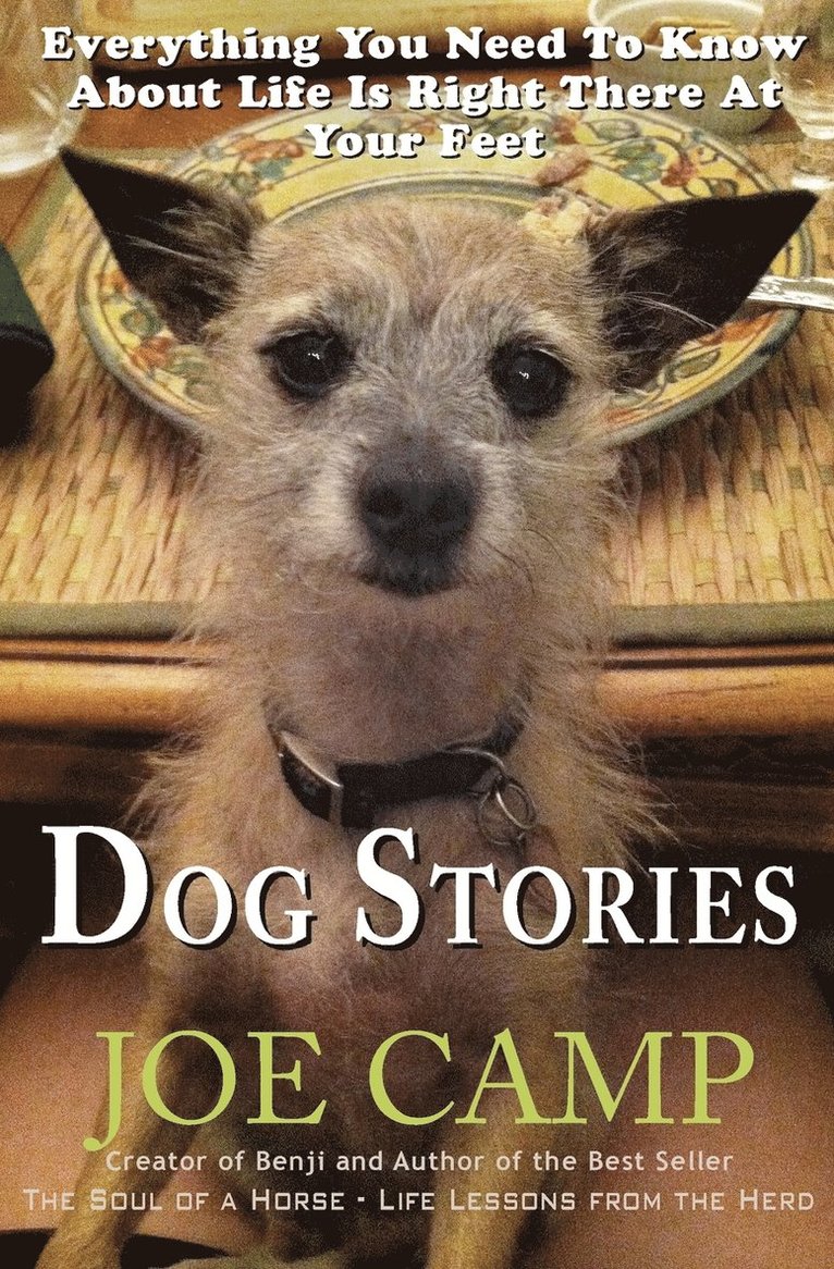 Joe Camp - Dog Stories, Häftad. Tillgänglighet: Lägg i varukorg