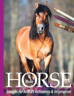 Sarah Tregay - Horse and Mule Images for Artist's Reference and Inspiration, Häftad. Tillgänglighet: Lägg i varukorg