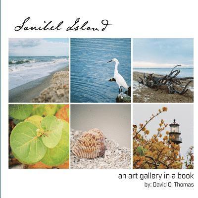 David C. Thomas - Sanibel Island: An Art Gallery in a Book, Häftad. Tillgänglighet: Lägg i varukorg