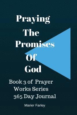 Marier Farley - Praying The Promises of God: Book 3 Prayer Works Series, Häftad. Tillgänglighet: Lägg i varukorg