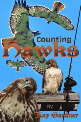 Kay Gardner - counting hawks, Häftad