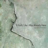 Sergio Gomez - It Feels Like I Was Already Here, Häftad. Tillgänglighet: Lägg i varukorg