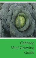 Cabbage Mini Growing Guide