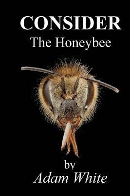 Adam White - Consider The Honeybee, Häftad