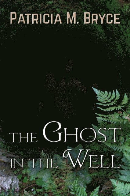 Patricia M. Bryce - Ghost in the Well, E-bok. Tillgänglighet: Lägg i varukorg