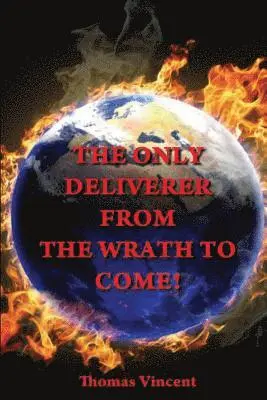 Thomas Vincent - The Only Deliverer from the Wrath to Come!: Or, the Way to Escape the Horrible and Eternal Burnings of Hell, Häftad. Tillgänglighet: Lägg i varukorg
