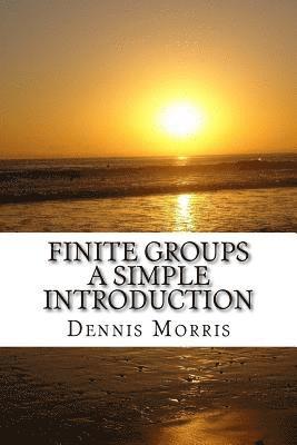 Dennis Morris - Finite Groups - A Simple Introduction, Häftad. Tillgänglighet: Lägg i varukorg