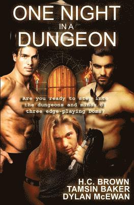 Tamsin Baker, Dylan McEwan - One Night in a Dungeon: Anthology, Häftad. Tillgänglighet: Lägg i varukorg