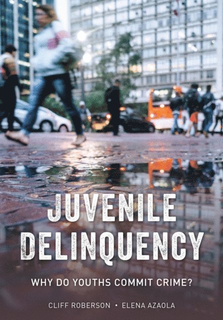 Cliff Roberson, Elena Azaola - Juvenile Delinquency, E-bok