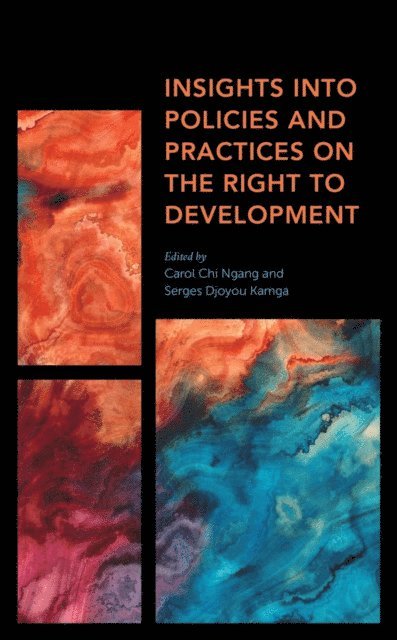Carol Chi Ngang, Serges Djoyou Kamga - Insights into Policies and Practices on the Right to Development, E-bok