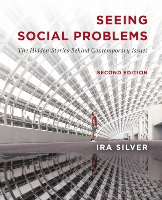Ira Silver - Seeing Social Problems, E-bok
