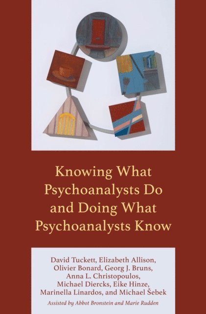 David Tuckett, Elizabeth Allison, Olivier Bonard, Georg J. Bruns, Anna L. Christopoulos, Michael Diercks, Eike Hinze, Marinella Linardos, Michael Šebek - Knowing What Psychoanalysts Do and Doing What Psychoanalysts Know, E-bok