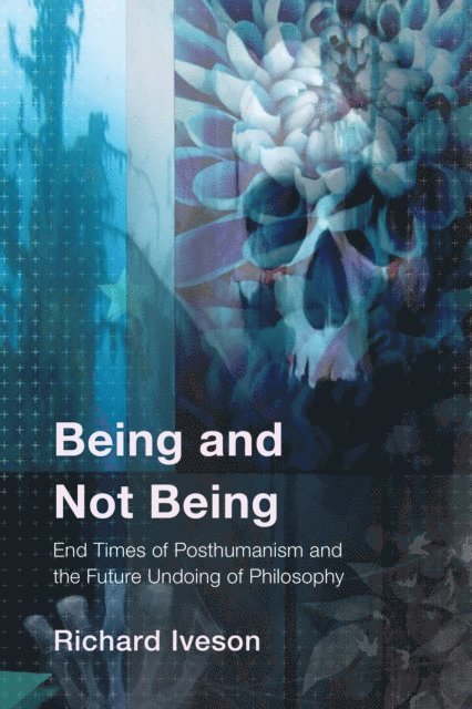 Richard Iveson - Being and Not Being, E-bok