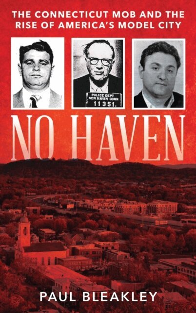 Paul Bleakley - No Haven, E-bok