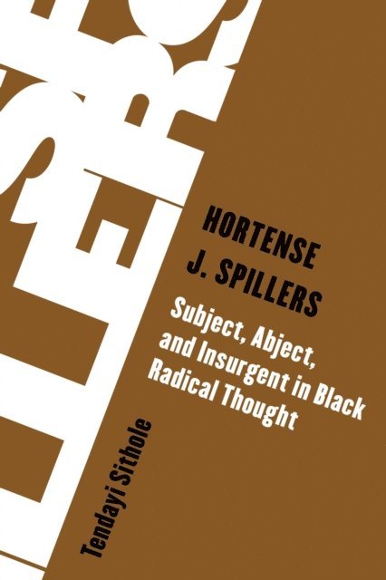 Tendayi Sithole - Hortense J. Spillers, E-bok