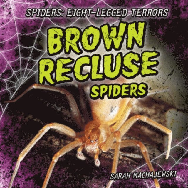 Brown Recluse Spiders