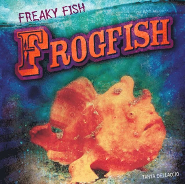 Frogfish