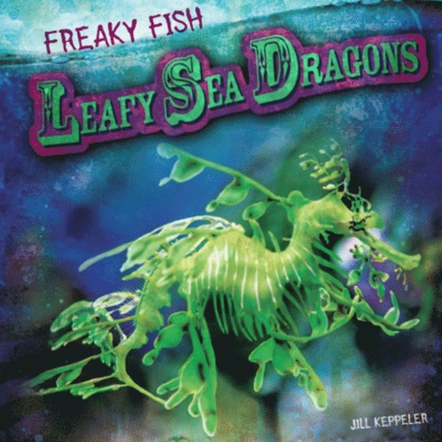 Leafy Sea Dragons