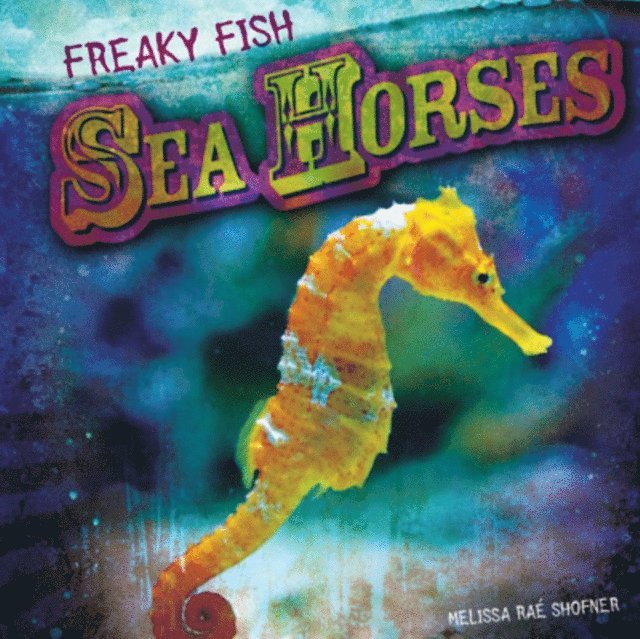 Melissa Rae Shofner - Sea Horses, E-bok