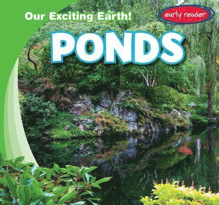 Jagger Youssef - Ponds, Inbunden
