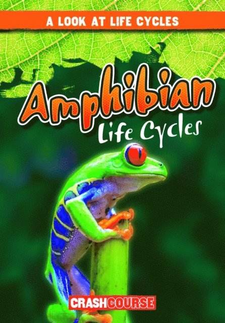 Bray Jacobson - Amphibian Life Cycles, E-bok