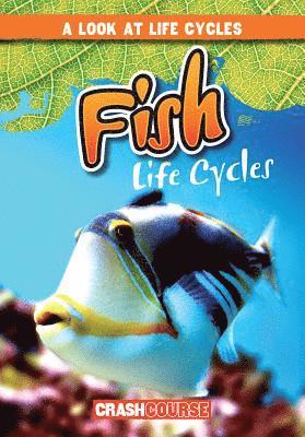 Bray Jacobson - Fish Life Cycles, Inbunden