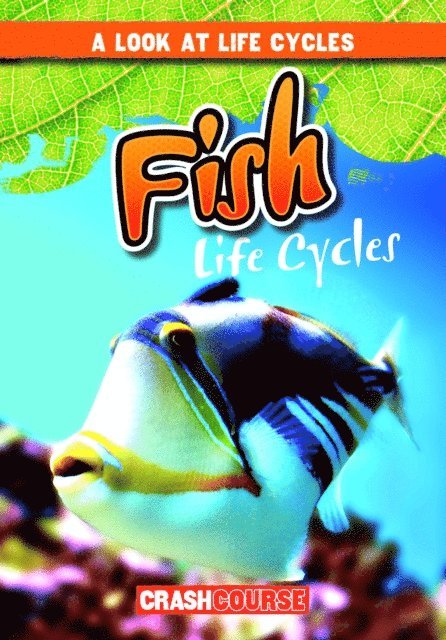 Bray Jacobson - Fish Life Cycles, E-bok