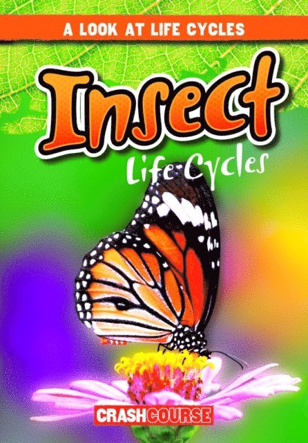 Bray Jacobson - Insect Life Cycles, E-bok