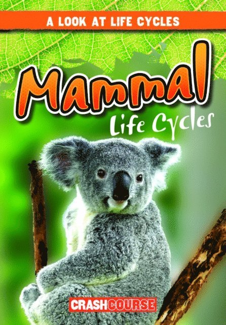 Bray Jacobson - Mammal Life Cycles, E-bok