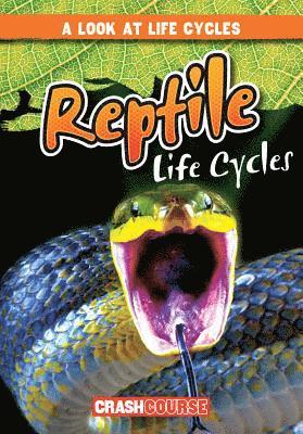 Bray Jacobson - Reptile Life Cycles, Häftad