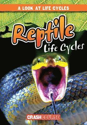 Bray Jacobson - Reptile Life Cycles, Inbunden