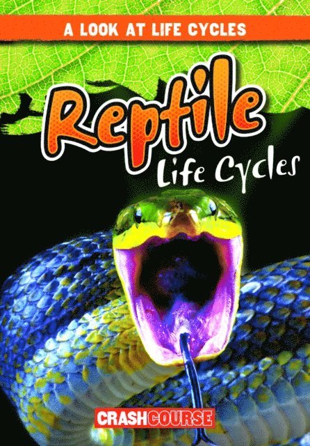 Bray Jacobson - Reptile Life Cycles, E-bok