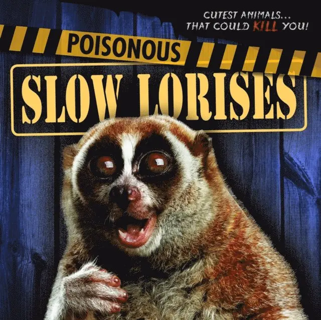 Mary Molly Shea - Poisonous Slow Lorises, E-bok. Tillgänglighet: Lägg i varukorg
