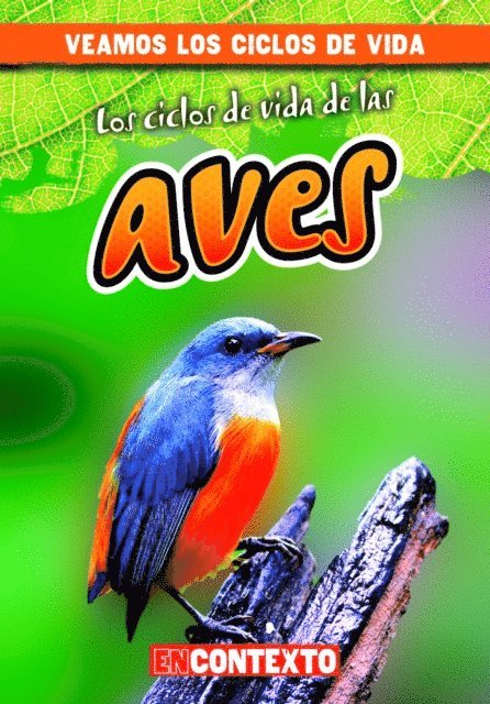 Bray Jacobson - Los ciclos de vida de las aves (Bird Life Cycles), E-bok