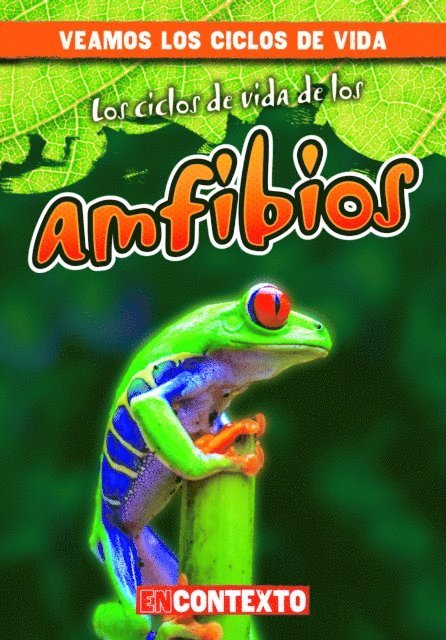 Bray Jacobson - Los ciclos de vida de los anfibios (Amphibian Life Cycles), E-bok