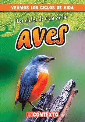 Bray Jacobson - Los Ciclos de Vida de Las Aves (Bird Life Cycles), Inbunden