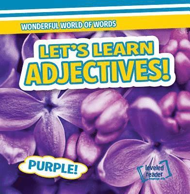 Kate Mikoley - Let's Learn Adjectives!, Inbunden
