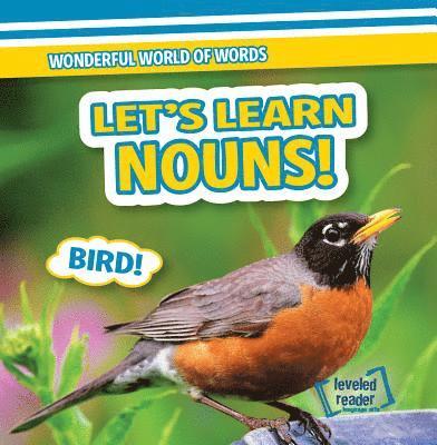 Kate Mikoley - Let's Learn Nouns!, Inbunden