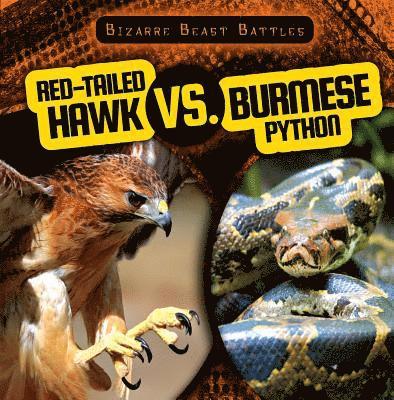 Theresa Morlock - Red-Tailed Hawk vs. Burmese Python, Häftad. Tillgänglighet: Lägg i varukorg