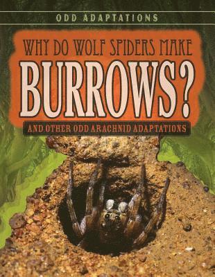 Meghan Sharif - Why Do Wolf Spiders Make Burrows?: And Other Odd Arachnid Adaptations, Inbunden