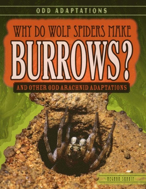 Meghan Sharif - Why Do Wolf Spiders Make Burrows?, E-bok