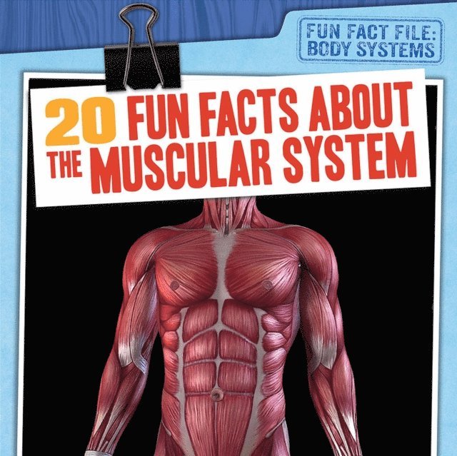 Tayler Cole - 20 Fun Facts About the Muscular System, E-bok