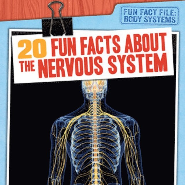 Emily Mahoney - 20 Fun Facts About the Nervous System, E-bok. Tillgänglighet: Lägg i varukorg