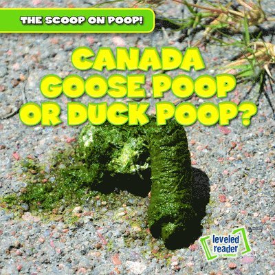Colin Matthews - Canada Goose Poop or Duck Poop?, E-bok