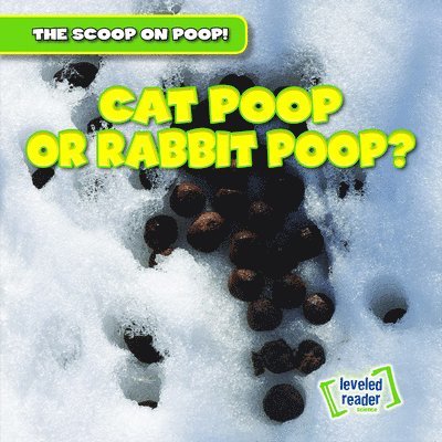 Colin Matthews - Cat Poop or Rabbit Poop?, E-bok