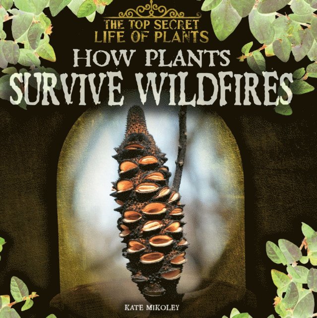 Kate Mikoley - How Plants Survive Wildfires, E-bok